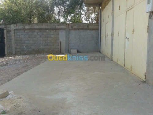 Vente Villa Boumerdes Ouled hedadj