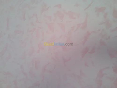 Paintre es décoration