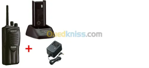 Video surveillance alarme automatisme 