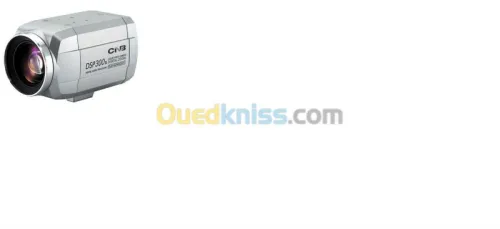 Video surveillance alarme automatisme 