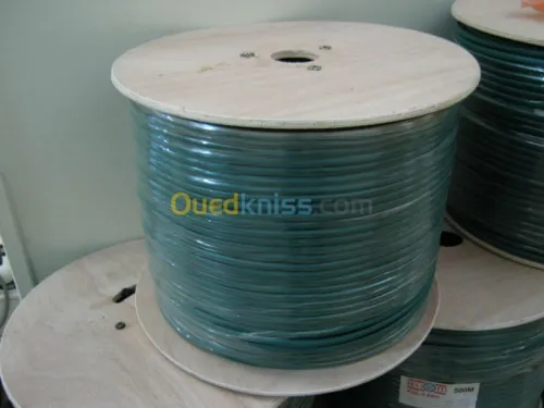 Video surveillance alarme automatisme 