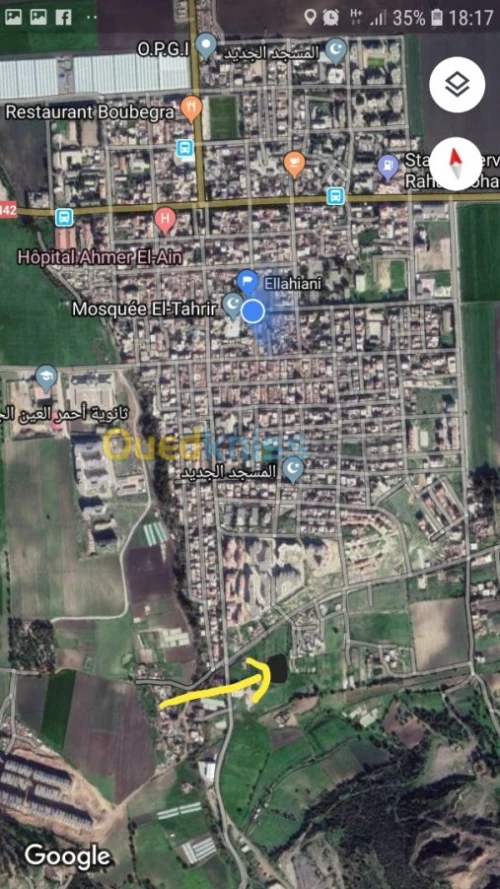 Vente Terrain Tipaza Ahmar el ain