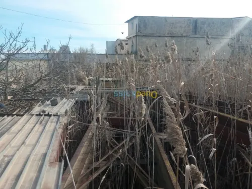 Vente Terrain Tipaza Kolea