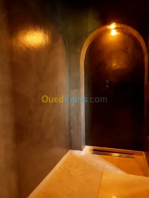 Vente Duplex F6 Alger Dely brahim