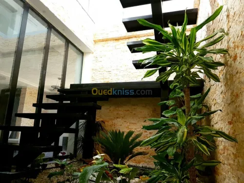 Vente Duplex F6 Alger Dely brahim