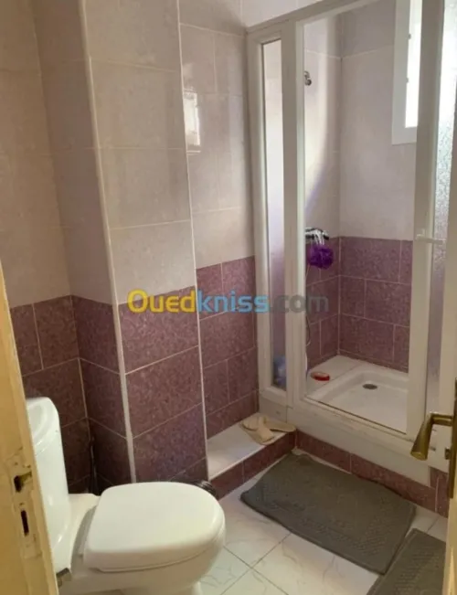 Vente Appartement F3 Alger Birkhadem
