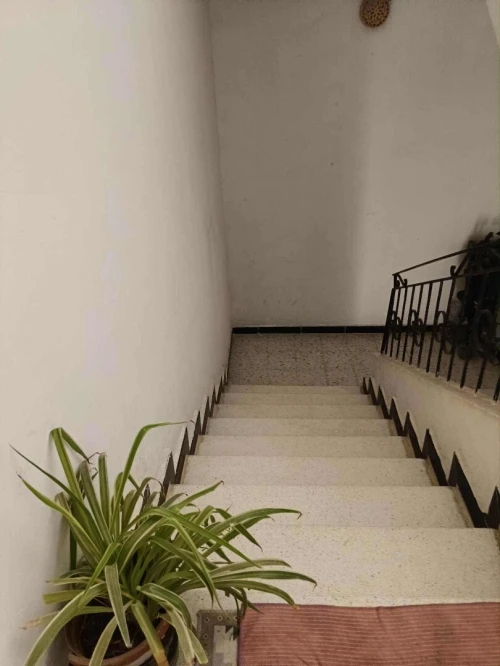 Location Appartement Niveau de villa F4 Alger Bouzareah