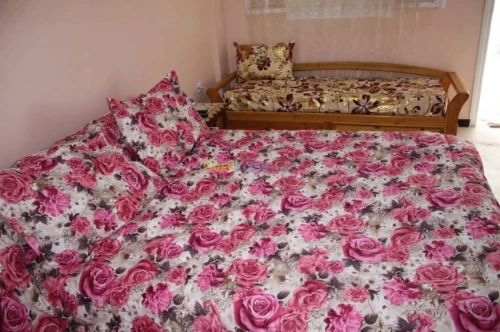 Location Appartement Studio Alger Bordj el kiffan