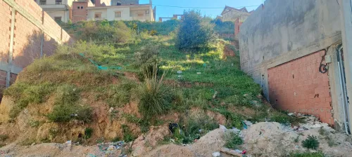 Vente Terrain Souk Ahras Souk ahras