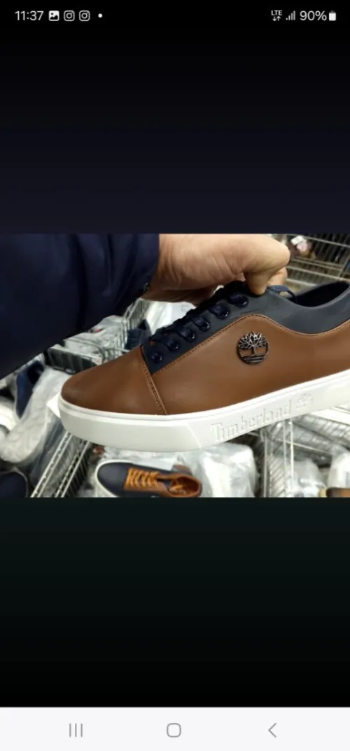 Chaussure  homme 