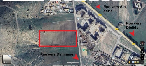 Vente Terrain Aïn Defla Ain defla 11
