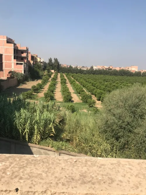 Vente Villa Blida Larbaa