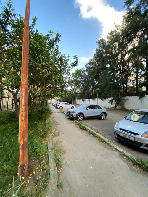 Location Appartement F3 Alger Cheraga