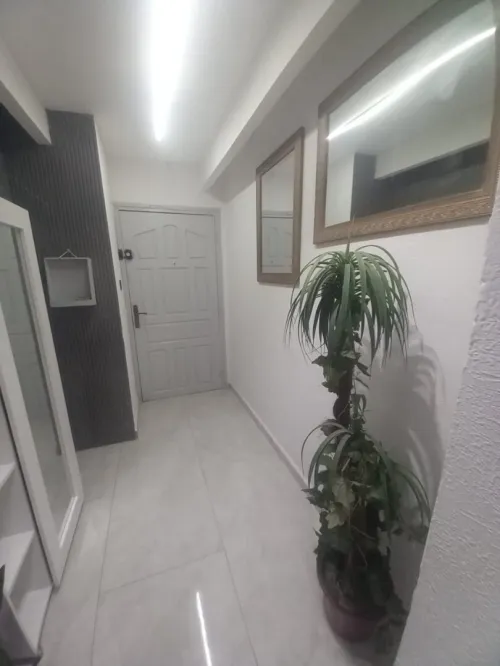 Location Appartement F3 Alger Kouba