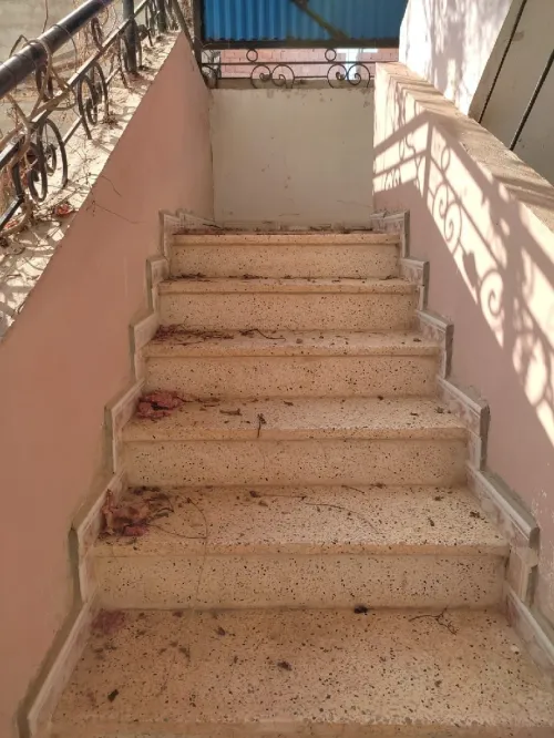 Location Appartement Mostaganem Mesra