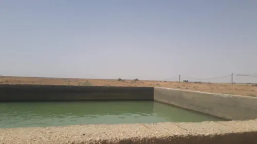 Vente Terrain Biskra Ain naga