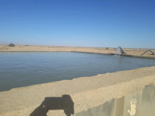 Vente Terrain Biskra Ain naga