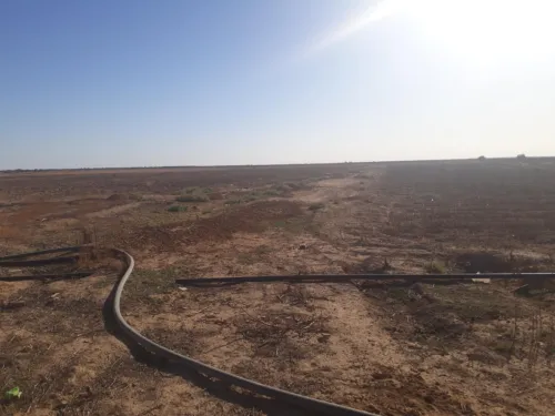 Vente Terrain Biskra Ain naga