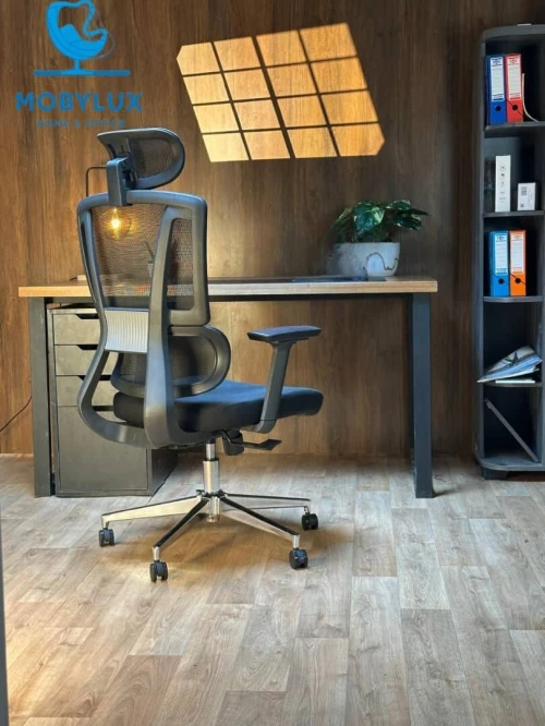 Chaise ergonomique
