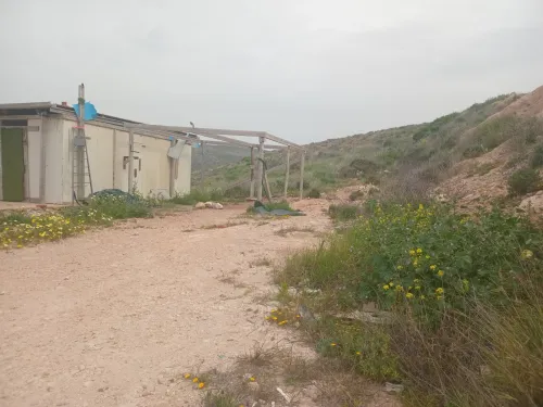 Vente Terrain Agricole Aïn Témouchent Bou zedjar