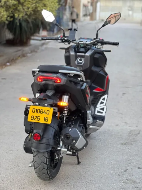 Vms XDV 2025