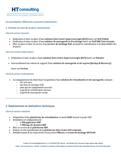 Consultanting informatique