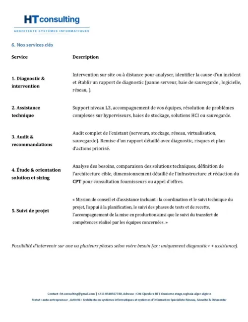 Consultanting informatique