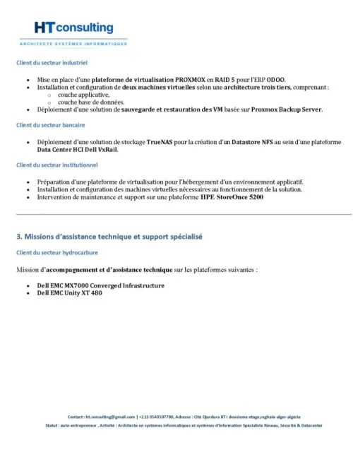 Consultanting informatique