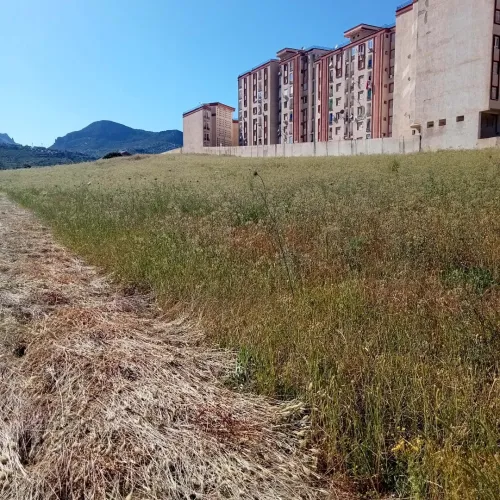 Vente Terrain Béjaïa Oued ghir