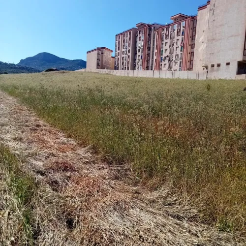 Vente Terrain Béjaïa Oued ghir