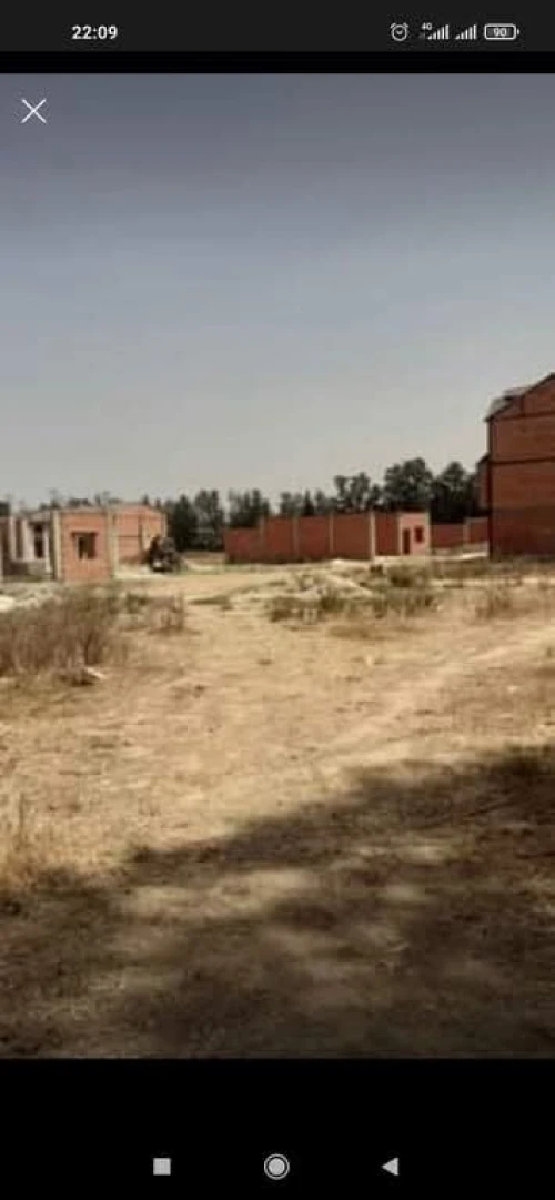 Vente Terrain Blida Chebli