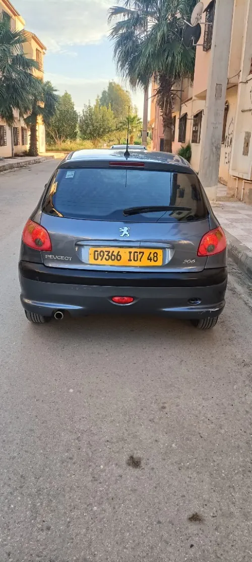 Peugeot 206 2007 La toute options