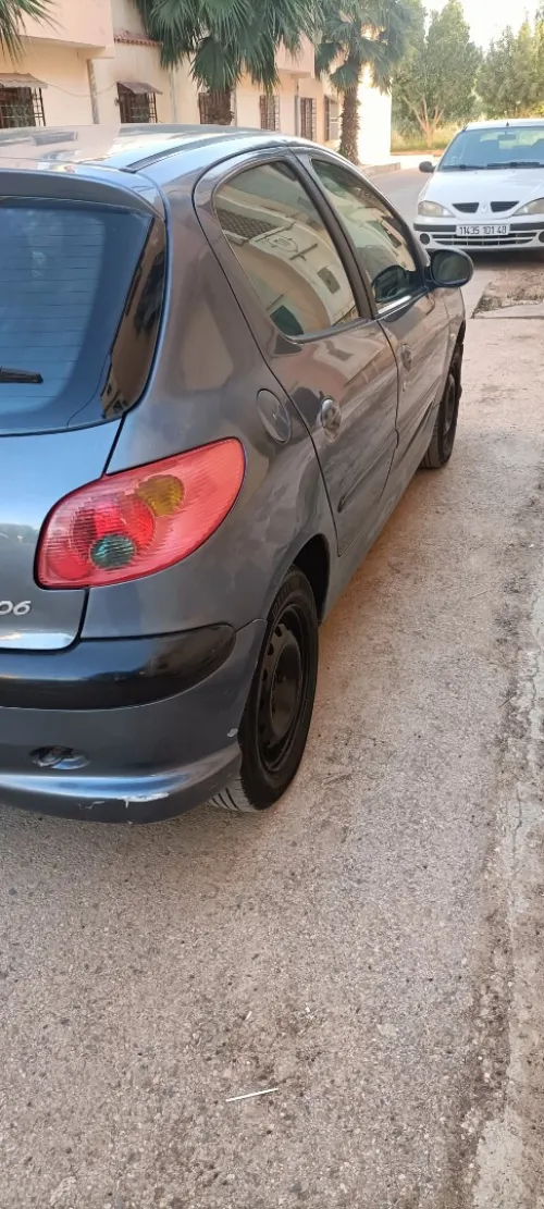 Peugeot 206 2007 La toute options