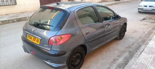 Peugeot 206 2007 La toute options