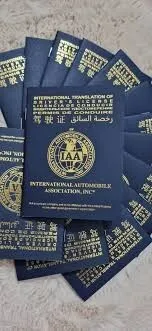 PERMIS INTERNATIONAL AVEC PUCE ET EXPRESS