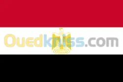 E VISA EGYPT   التأشيرة الإلكترونية لمصر