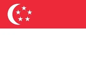 E VISA SINGAPOUR        تأشيرة إلكترونية لسنغافورة