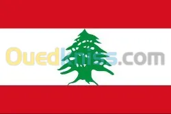 VISA LIBAN فيزا لبنان