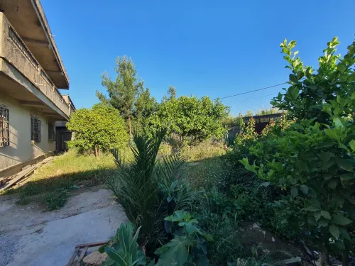 Vente Villa Boumerdès Hammedi