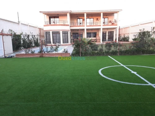 Vente Villa Blida Chebli