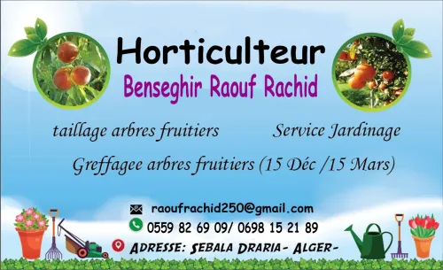 Service Nettoyage Et Jardinage Taille Gazon