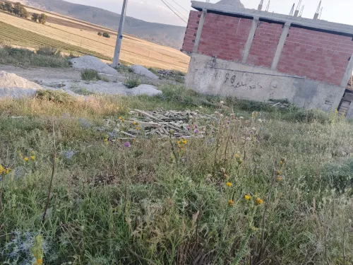 Vente Terrain Constantine El haria