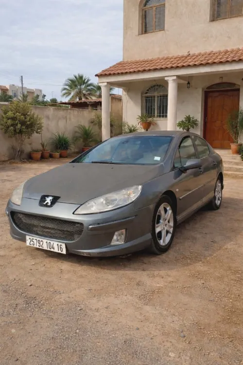 Peugeot 407 2004 407