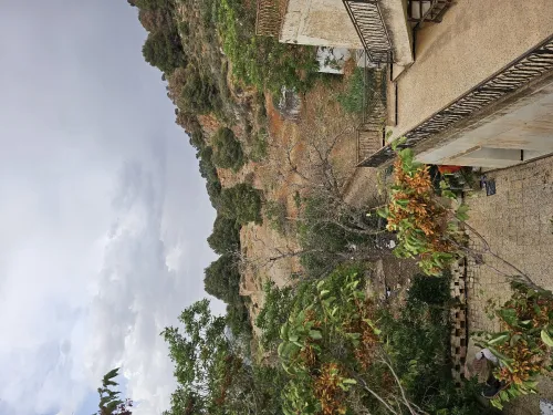 Vente Terrain Tlemcen Tlemcen