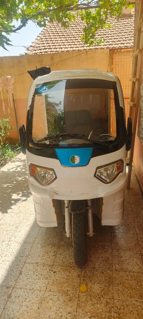 دراجة (معاقيين) ذوي احتياجات الخاصة Tricycle Electric Vehicle for Disabled 2020