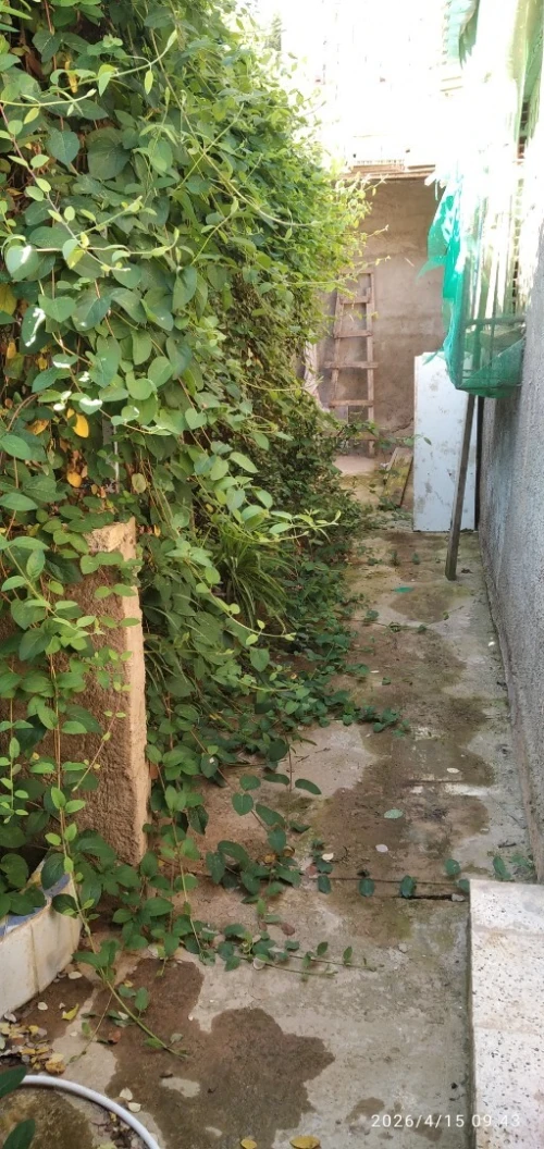 Vente Villa Chlef Chlef