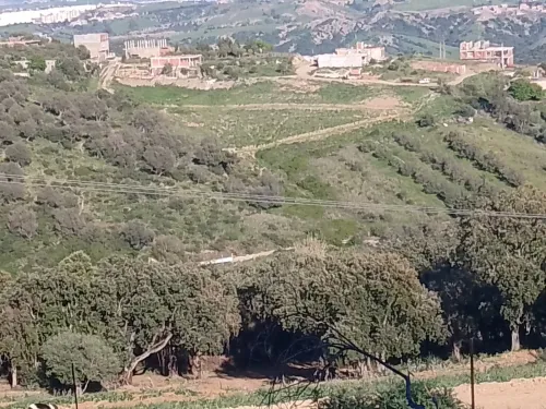 Vente Terrain Jijel Jijel