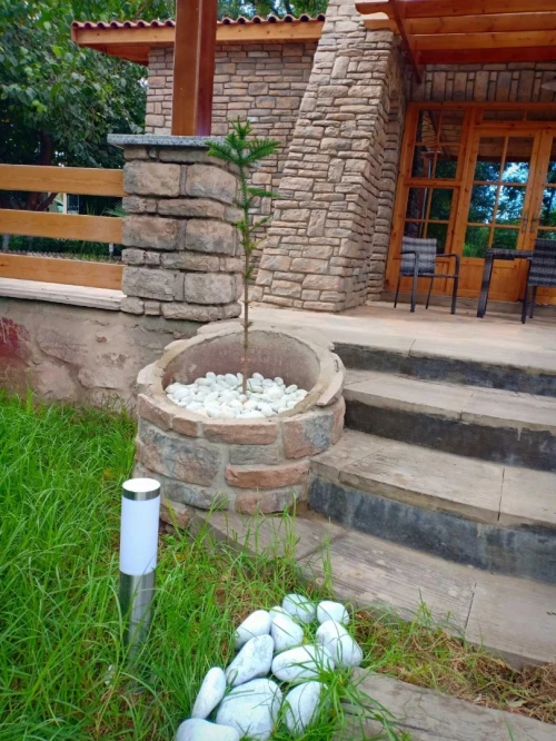 Eco Zone Ezcap