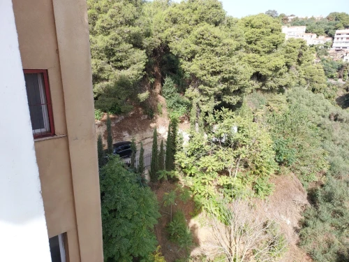 Location Appartement Alger Hydra
