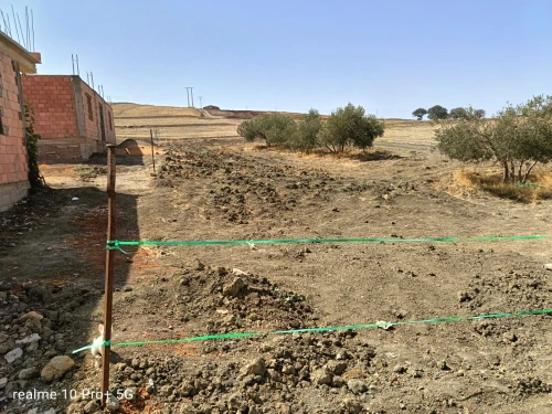 Vente Terrain Relizane El guettar
